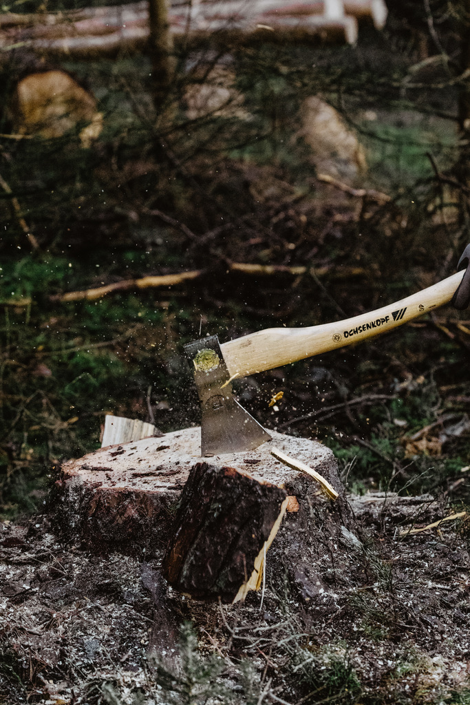 Business-businessfotografie-unternehmensbilder-ansbach-neuendettelsau-schwabach-creating memories by jessica auerochs-Landwirtschaft-Forstwirtschaft-Wald